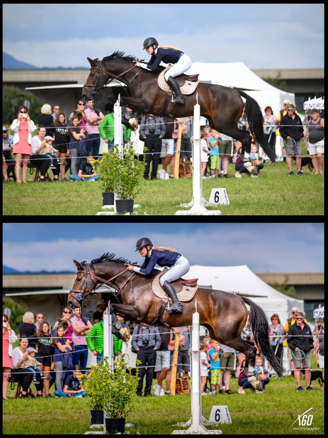 Concours Hippique – SHF jeunes chevaux | La Bourgogne