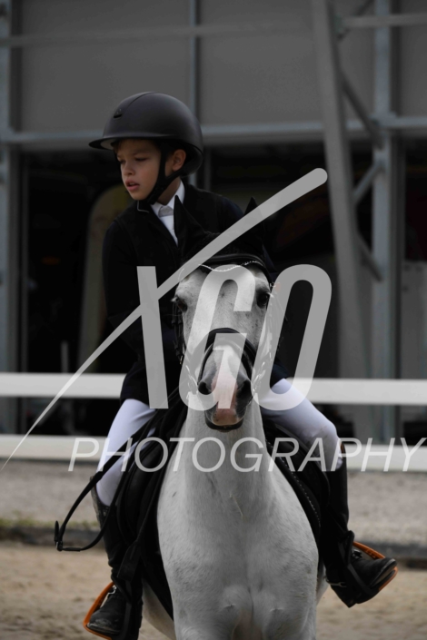 Aaron Felberbaum_6547