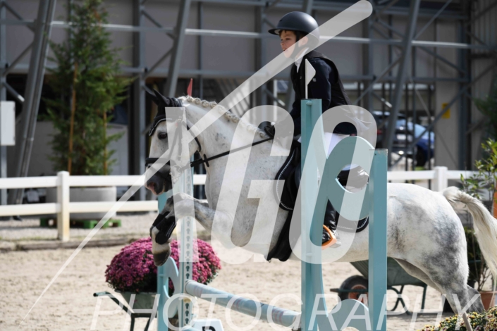 Aaron Felberbaum_7026