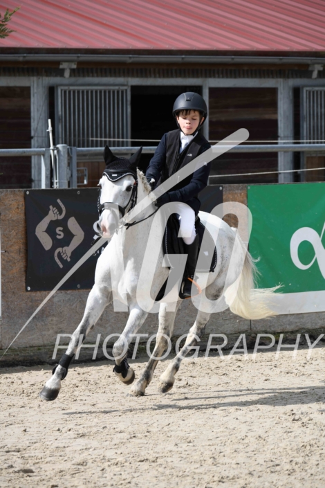 Aaron Felberbaum_7027