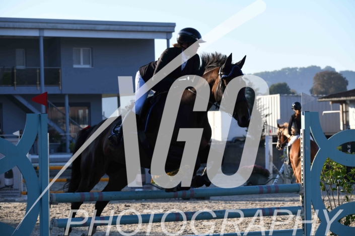 Anne-Laure Vincent_3772