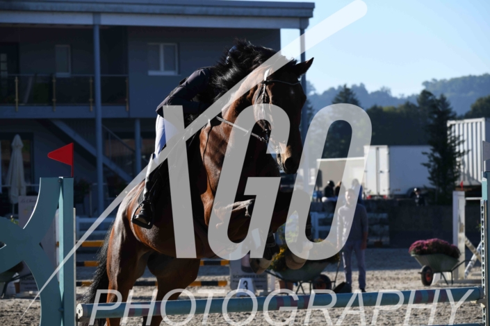 Viviana Gonçalves Barreleiro_3950