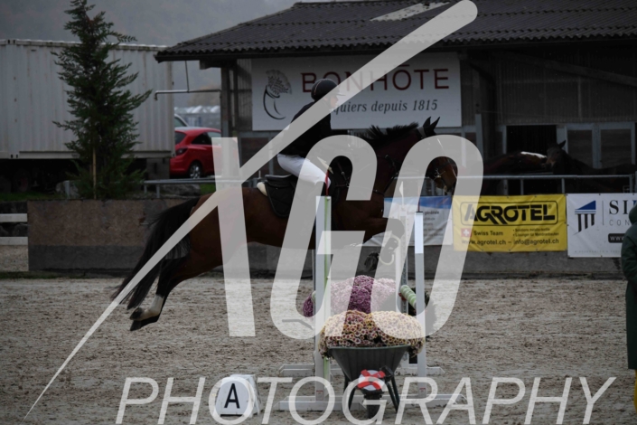 Marie Anna Stettler_6204