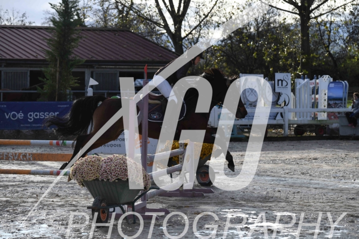 Claudia Schwendener_2967