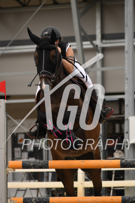 Dana Guerreiro_7028