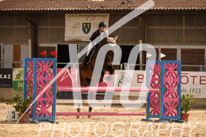 Diane Anderau_5319