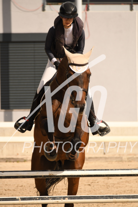 Diane Anderau_5322