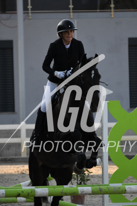 Diane Gudin_5941