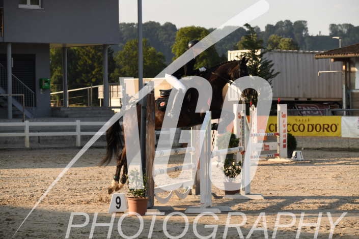 Diane Gudin_5945
