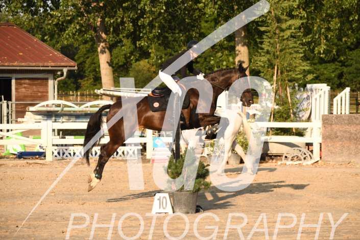 Diane Gudin_5946