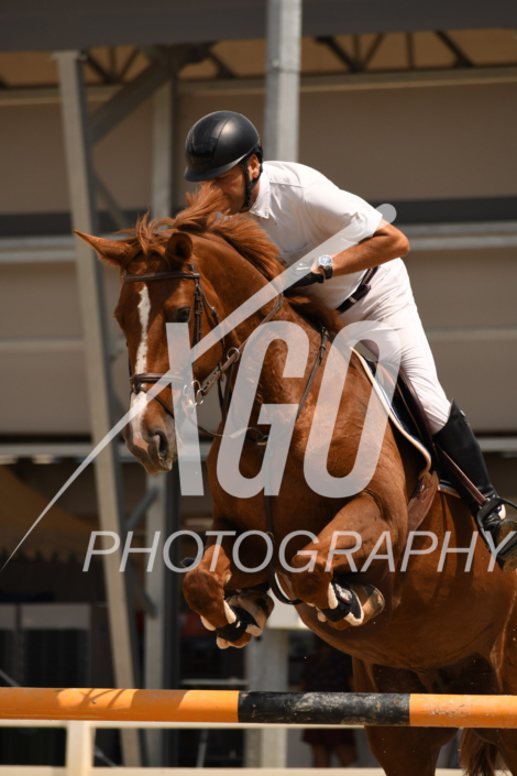 Didier Guignard_6741