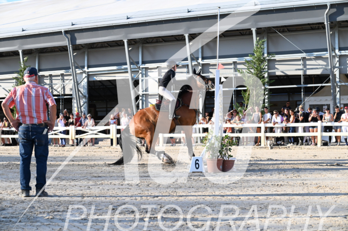 Estelle Hoffer_0114