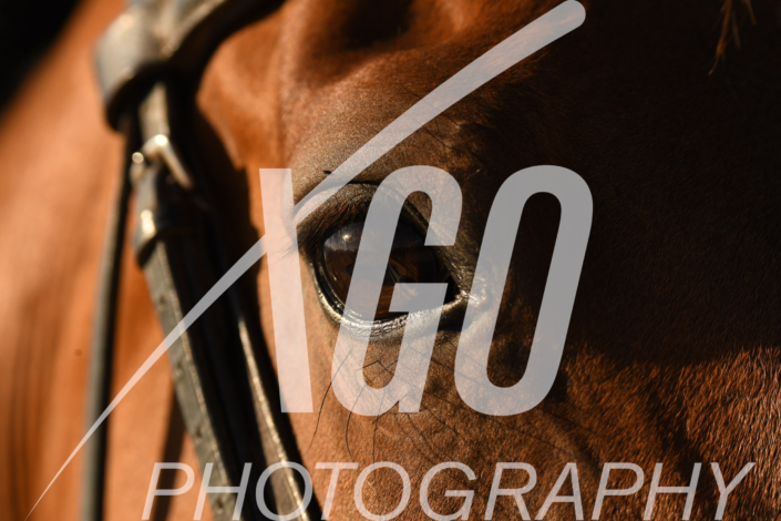Sandrine Berger_5663